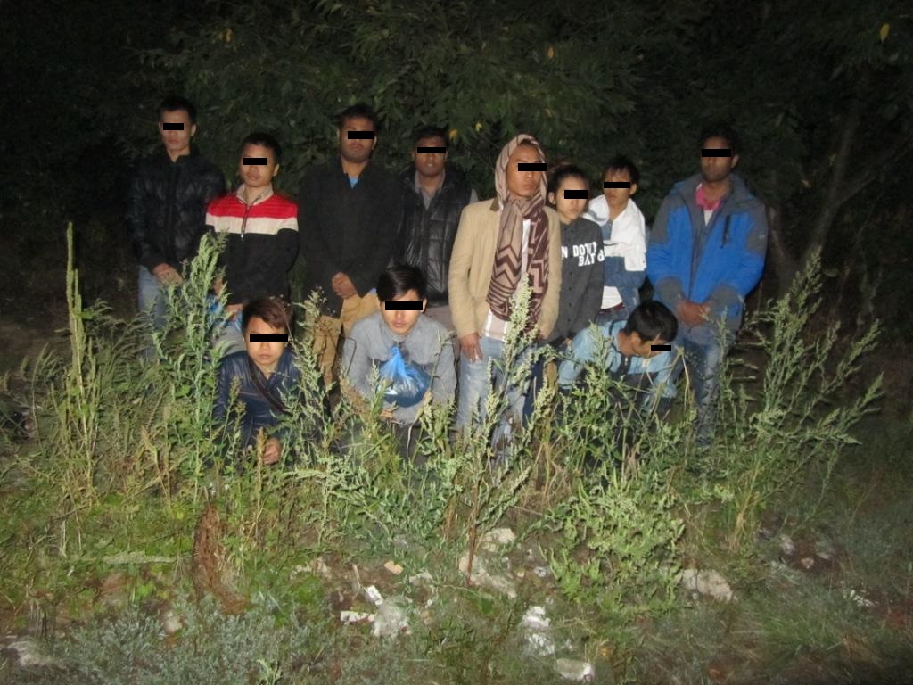 На Закарпатті українські, словацькі та угорські прикордонники в рамках спільної операції затримали 13 нелегалів