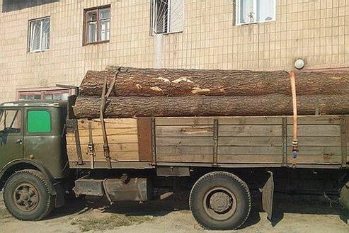 На Великоберезнянщині зупинили вантажівку із 20-а кубометрами ялини без документів (ФОТО)