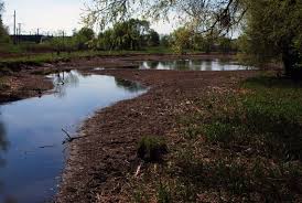 У річках Закарпаття через спеку та відсутність опадів утримується низька водність