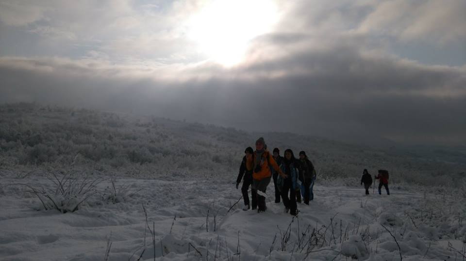 На Закарпатті сходженням на гору Борлуг відкрили новий сезон Відкритих походів (ФОТО)