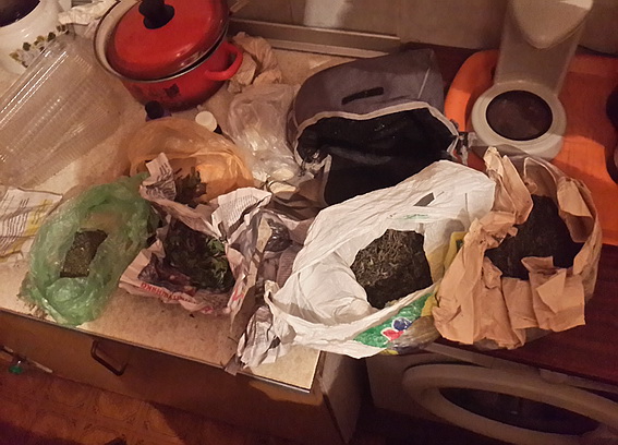 Під час обшуків в Ужгороді вилучили 2,5 кг марихуани (ФОТО)