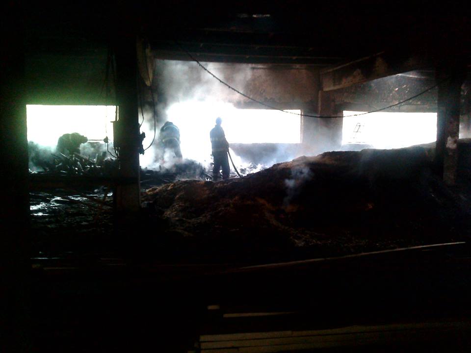 Під час пожежі в деревообробному цеху на Воловеччині загинув чоловік (ФОТО)