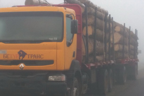 На Хустщині затримали вантажівку із 40 "кубами" хвойної деревини