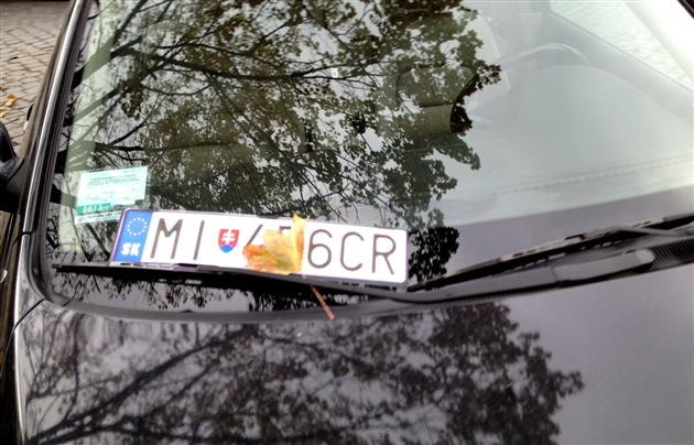 "Словацька" BMW неподалік Мукачева "скинула" у кювет "Таврію", а біля Руського врізалася в стовп