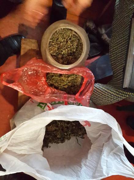 Близько 2-х кг марихуани вилучили у чоловіка в Ужгороді (ФОТО)