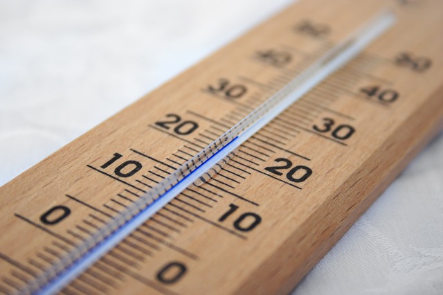 В Ужгороді зафіксовано найвищу за останні 50 років температуру (ВІДЕО)