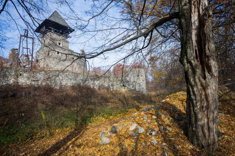 У неділю на території Невицького замку бажаючим відкрито розкажуть про історію та сьогодення пам'ятки