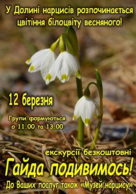 12 березня Долиною нарцисів на Хустщині, де розквітає білоцвіт весняний, відбудеться тематична екскурсія