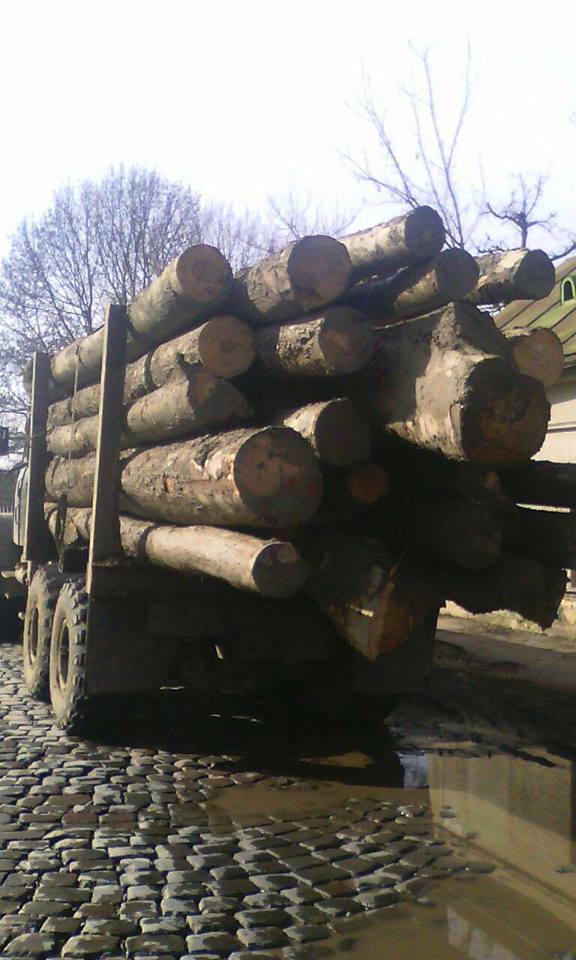 Журналісти вказали поліції на лісовоз з "лівим" лісом (ФОТО)