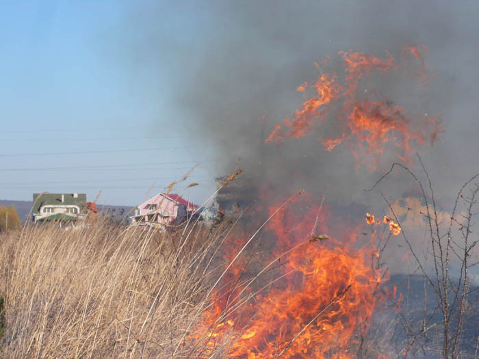 За останні 2 дні на Закарпатті 8 разів горіла суха трава. Торік на пожежі сухостою пожежні виїздили 1062 рази