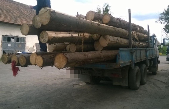 Вантажівку з "лівим" лісом затримали на Свалявщині (ФОТО)