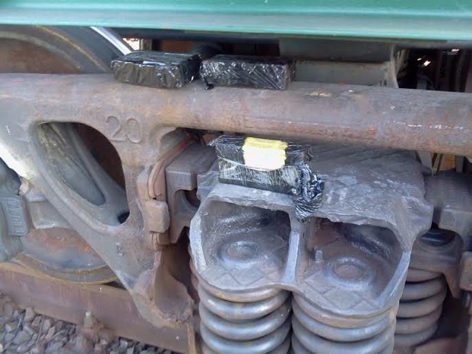 На Закарпатті чотирилапий охоронець кордону Блейк знайшов приховані сигарети у вантажному потязі (ФОТО)