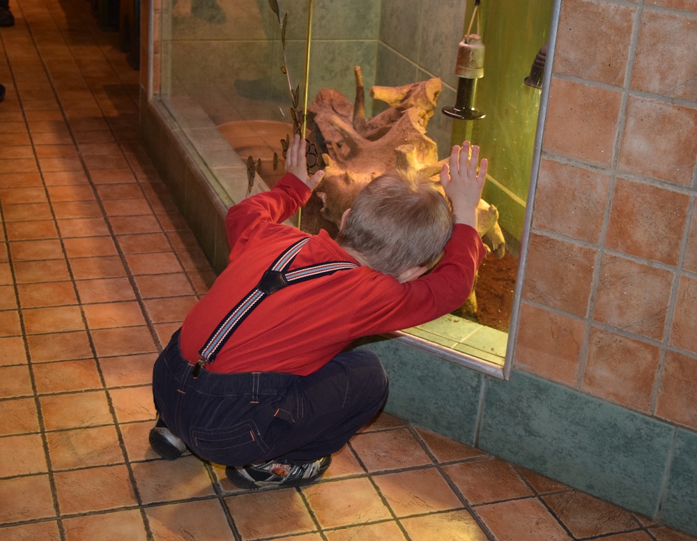 Відвідувачів "тераріумної" виставки в Ужгороді вражають екзотичні тварини і безкоштовність заходу (ФОТО, ВІДЕО)