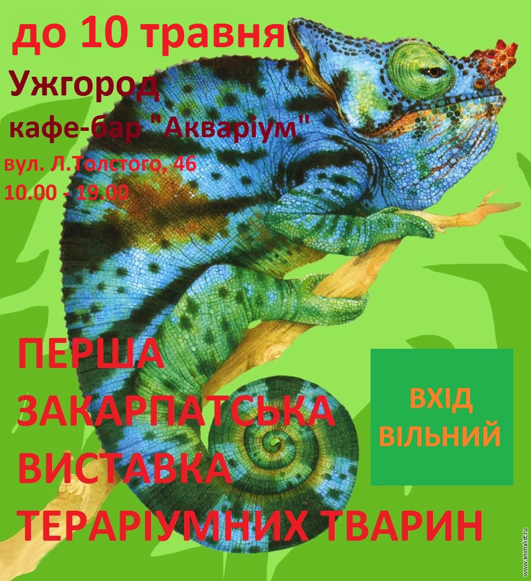 Роботу першої виставки тераріумних тварин в Ужгороді продовжено