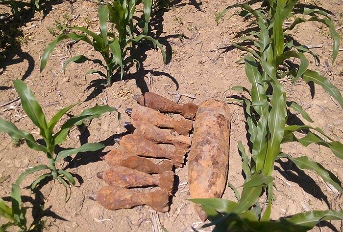 На Ужгородщині на полі поміж кукурудзою знайшли 9 артснарядів та мін (ФОТО)