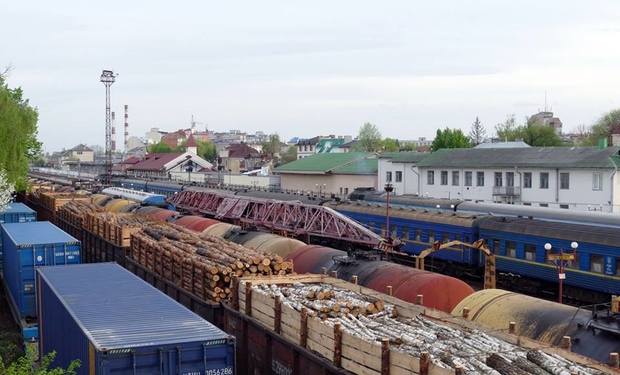Держлісагентство звернулося до СБУ та ГПУ щодо затримки вагонів із деревиною на Закарпатській митниці