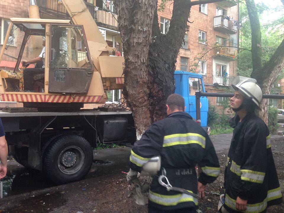 В Ужгороді буревієм повалено 12 дерев, пошкоджено 4 автомобілі, зруйновано близько десятка біл-бордів (ФОТО)
