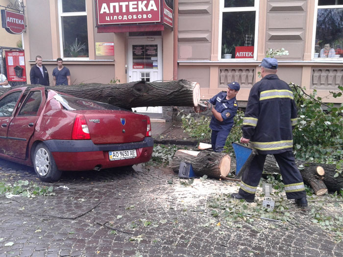 В Ужгороді повалені вітром дерева пошкодили транспортні засоби, квартиру та міські комунікації - У ДСНС (ФОТО)