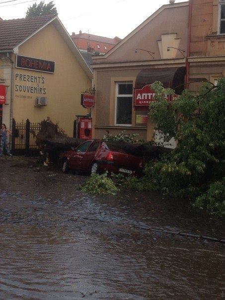 У центрі Ужгорода повалені негодою дерева потрощили автомобілі (ФОТО, ВІДЕО)