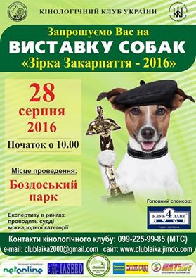 В Ужгороді обиратимуть "Зірку Закарпаття" серед собак