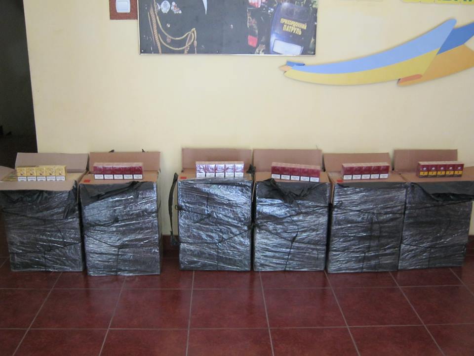На Закарпатті на березі Тиси знайшли 6 пакунків сигарет, замаскованих гіллям та готових для переміщення за кордон (ФОТО)