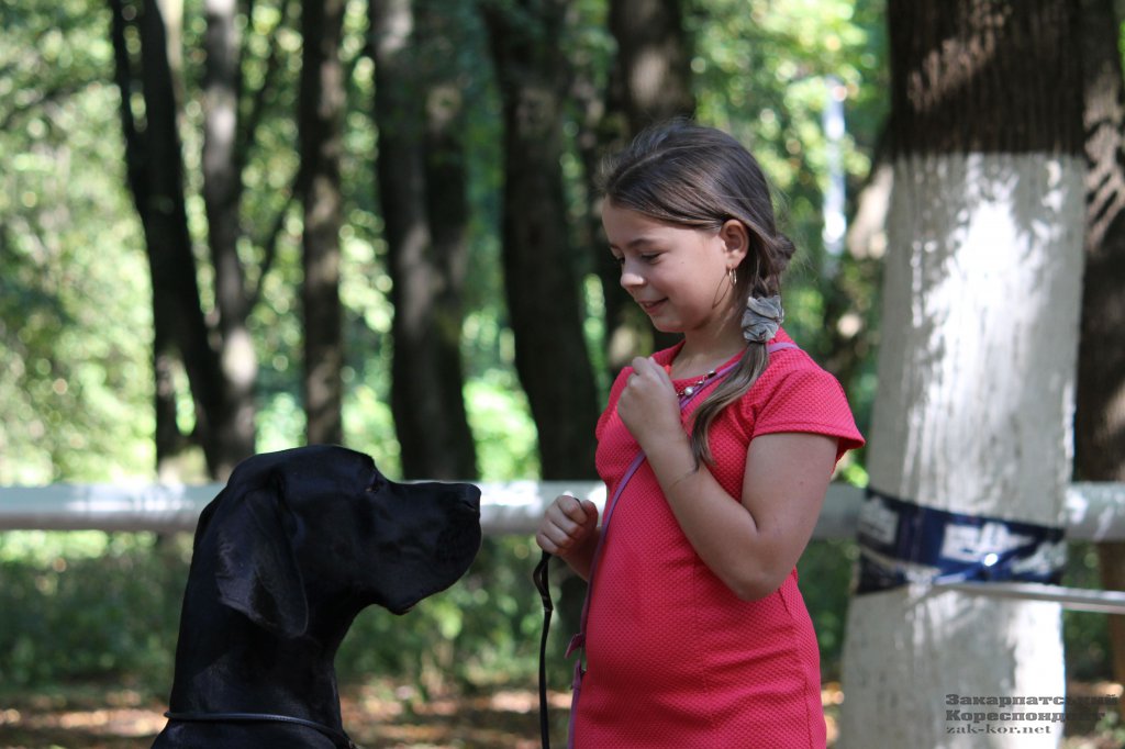 В Ужгороді обирають "Зірку Закарпаття" серед собак (ФОТО)
