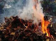 Спалюючи непотріб на подвір'ї, чоловік на Свалявщині потрапив до лікарні із 28% опіків тіла