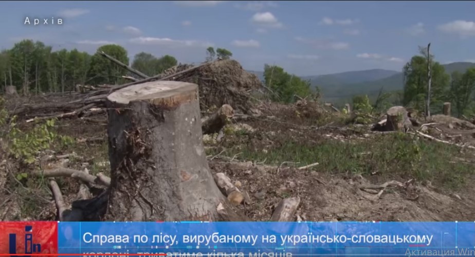 На Закарпатті ветерани війни на Донбасі висадять зрубаний у прикордонні ліс 