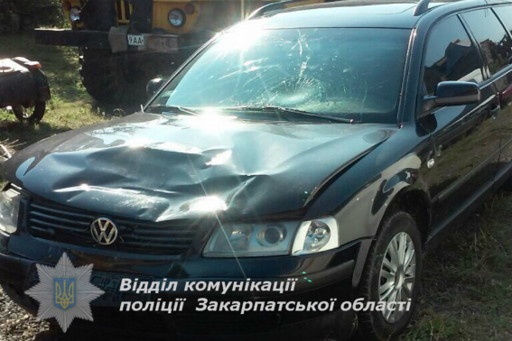 На Мукачівщині "Фольксваген" наїхав на мопед, що тягнув причеп із сіном: скутерист із пасажиркою – в лікарні (ФОТО)