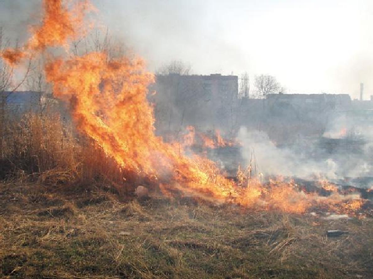 Через необережність під час спалювання сухої трави на Свалявщині загорілася надвірна споруда