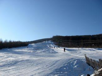 Мукачівських школярів безкоштовно вчитимуть кататися на лижах