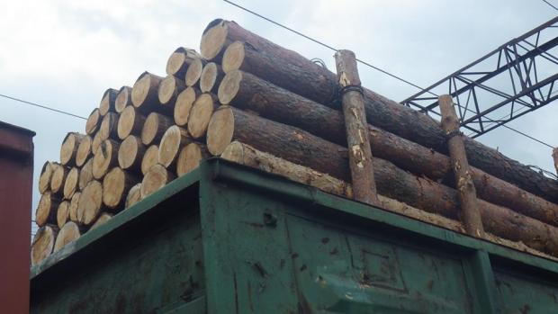 Досудове розслідування у справі із затриманням вагонів з лісом у закарпатському Чопі завершено оголошенням підозри експортеру