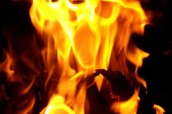 У Підвиноградові пожежа знищила теплицю