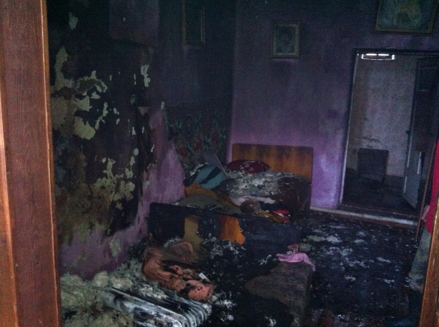 Врятована з пожежі у будинку на Ужгородщині 80-річна власниця потрапила до лікарні з отруєнням чадним газом (ФОТО)