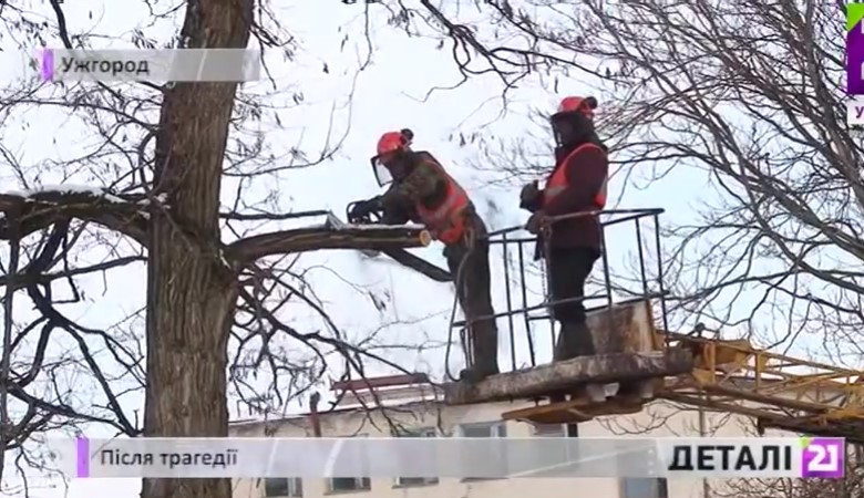 Дівчинку, скалічену деревом, що зрізали комунальники в Ужгороді, готують до чергової операції (ВІДЕО)
