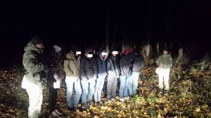 На Перечинщині затримали 12 нелегалів, поліція розшукує переправників 