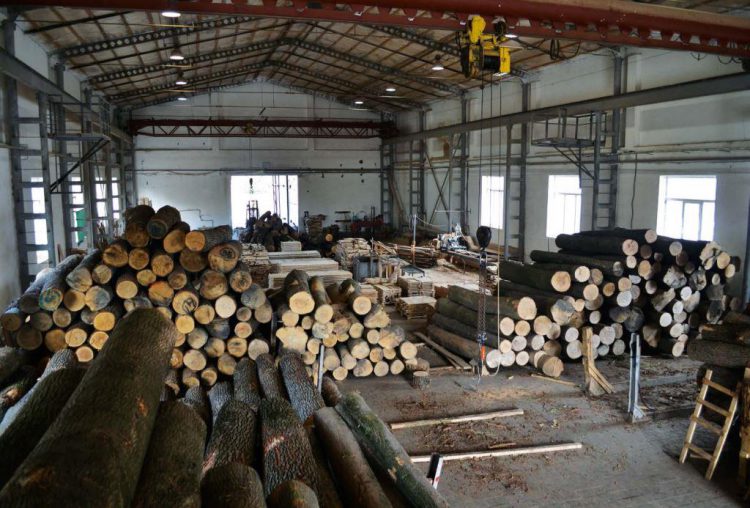 У Калинах на Тячівщині  навантажувач деревообробного цеху смертельно травмував 57-річну жінку