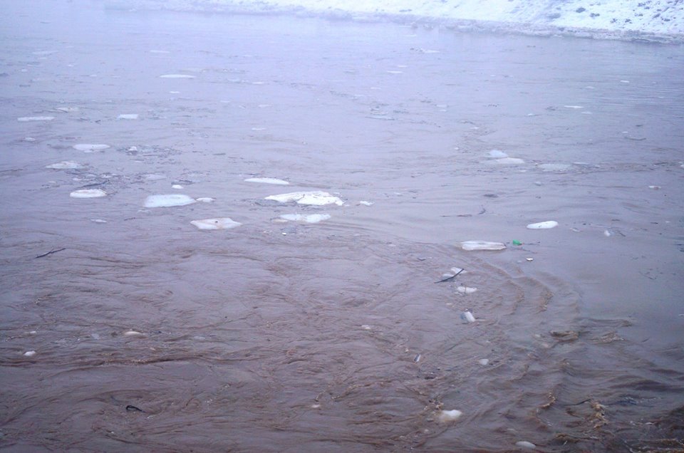 Рівень води в Латориці в межах Мукачева сягає 388 см