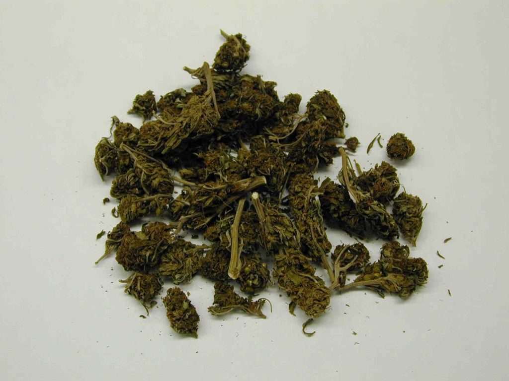 У підозрілого ужгородця патрульні виявили згорток з марихуаною