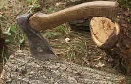 Лісівники на Хустщині допустили незаконну рубку, що спричинила шкоди на понад 250 тис грн