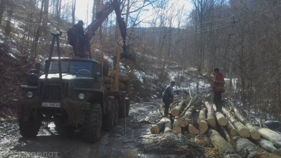 На Свалявщині селяни протестують проти рубки лісу (ФОТО)