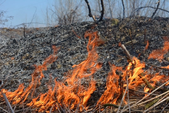 Пожежі сухої рослинності на Закарпатті набувають загрозливих масштабів (ФОТО)