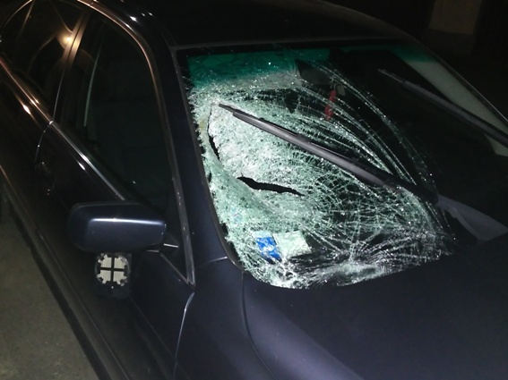 На Виноградівщині водійка BMW наїхала на жінку, що вибігла на дорогу. Потерпіла – у реанімації
