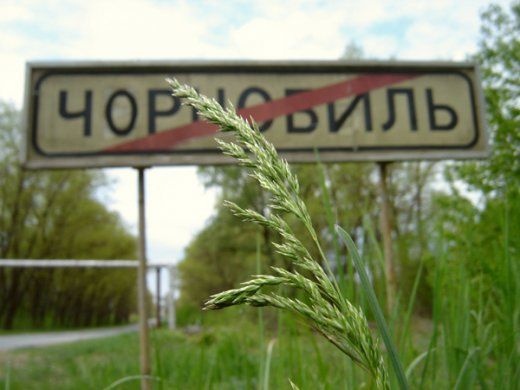 На Закарпатті нині мешкає майже 4 тис громадян, які мають статус постраждалих внаслідок Чорнобильської катастрофи