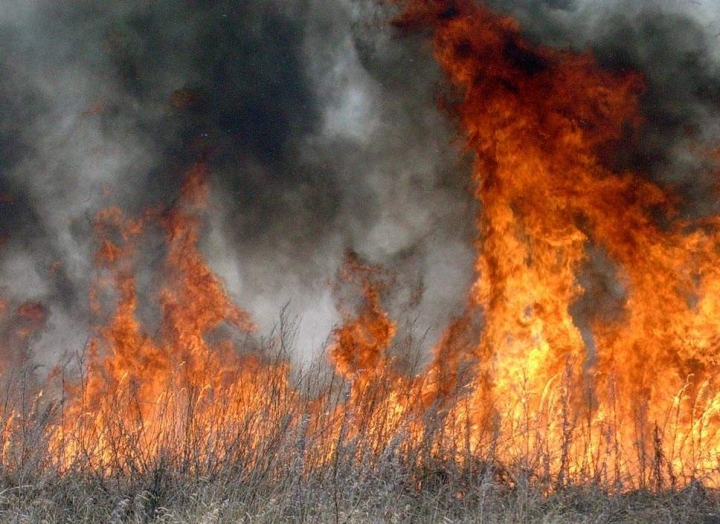 Через підпал сухої трави призупинено газопостачання у 7 населених пунктах Берегівщини