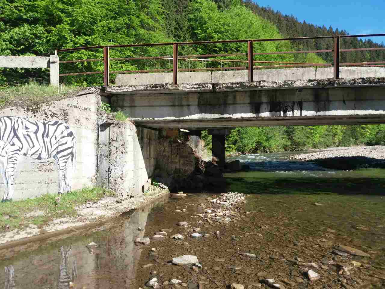 У Синевирській Поляні на Міжгірщині нарешті відремонтують пошкоджений міст (ФОТО)