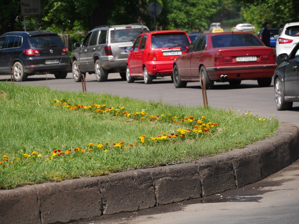 В Ужгороді продовжують висаджувати квіти (ФОТО)