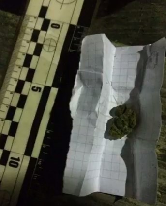 За одну ніч в Ужгороді та Мукачеві затримали двох чоловіків і жінку з марихуаною та використаним "нарко"-шприцем (ВІДЕО)