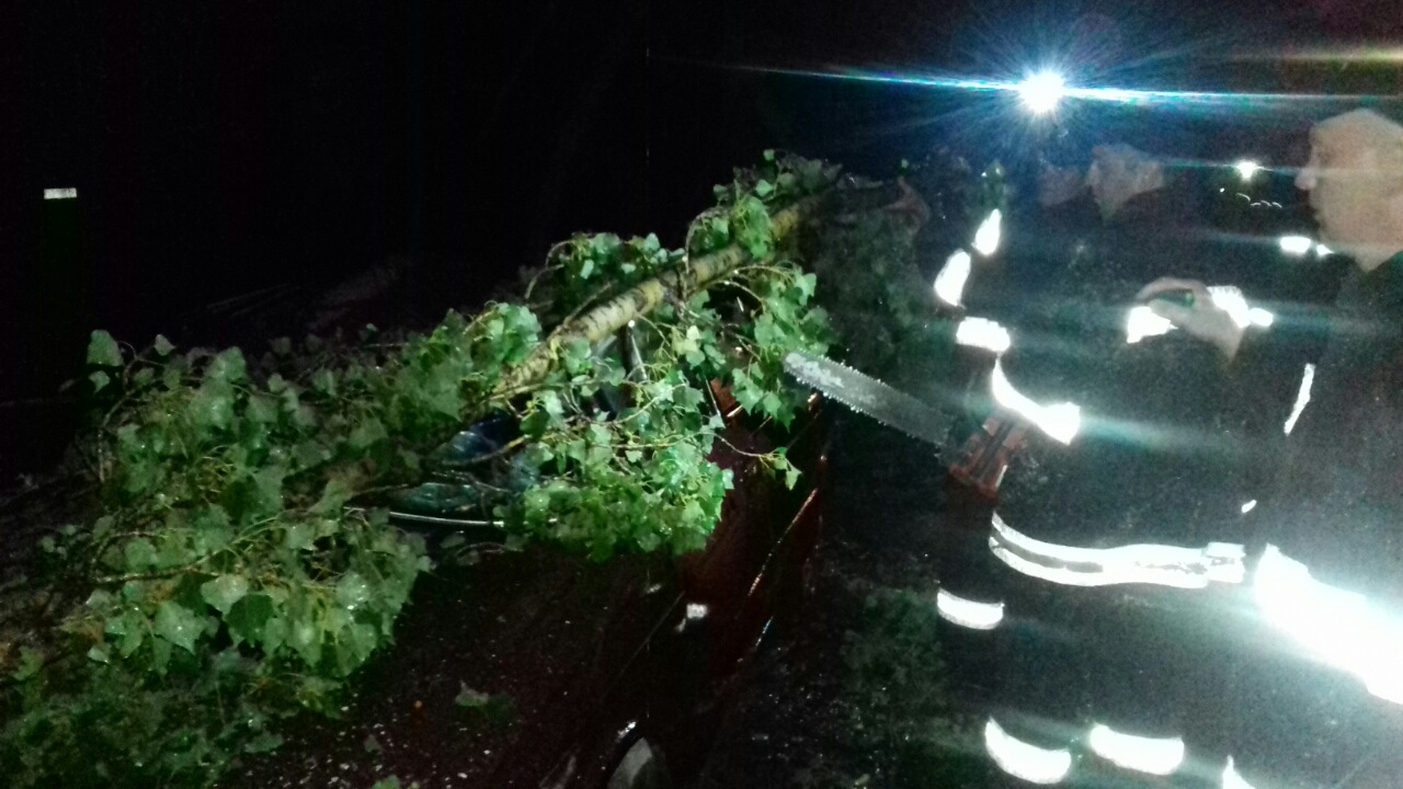 Нічна негода на Закарпатті валила дерева на дороги та знеструмила близько 30 населених пунктів