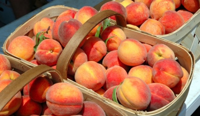 У селі Бене на Берегіщині відбувся фестиваль персиків